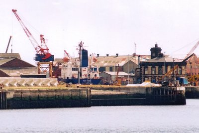 Tees Fisher.jpg