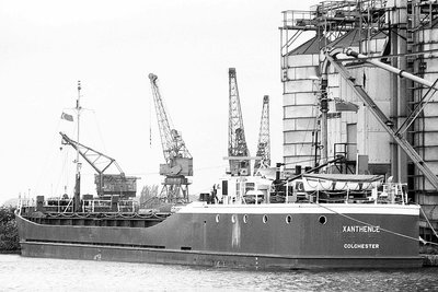 xanthence270682x1.jpg