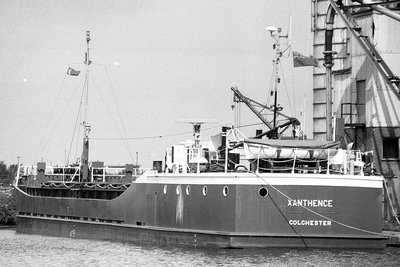 xanthence270682x2.jpg