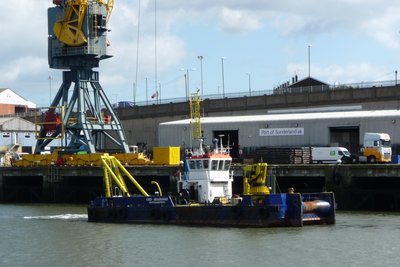 UKD Seahorse.jpg