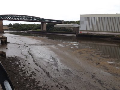 Silt.jpg