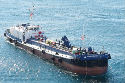 HUMBER DAWN 041017d.JPG