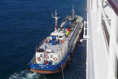 HUMBER DAWN 041017f.JPG