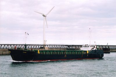 Fulmar.jpg