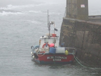 DSCF1478.JPG