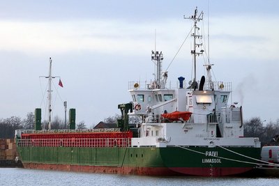 17634paivi291217x2.jpg