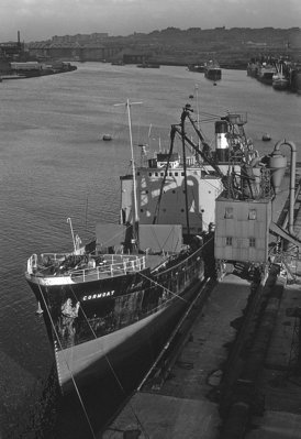 Cormoat B&W 2 .jpg