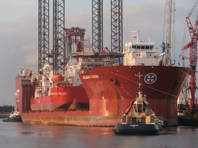 albatross- bow view.JPG