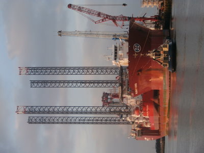 albatross - svitzver sun.JPG