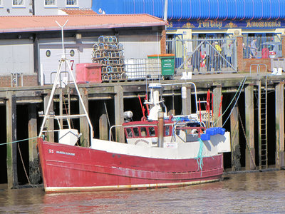 SARDIA_LOUISE_W335.jpg