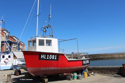 SUMMER-MAE (HL 1081).jpg