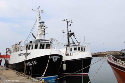 SAGITTARIUS and CAPRICORN.jpg