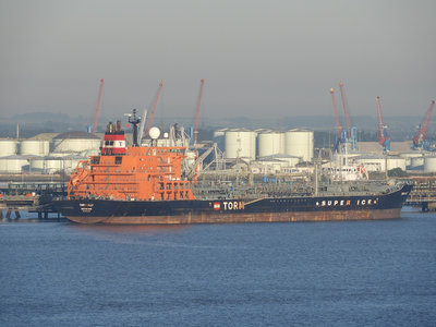 TORMLILLY250618.jpg