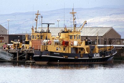 FELSTEAD 070490a.jpg