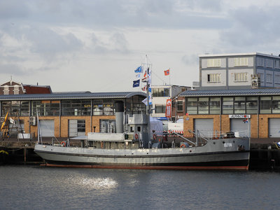 ELFIN240618.jpg
