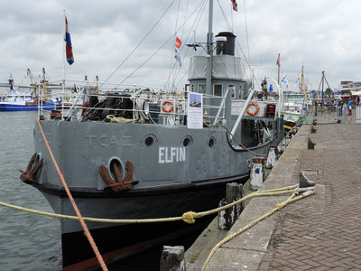 ELFIN230816A.jpg