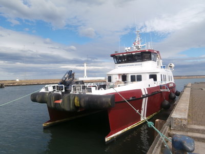 detector bow.JPG