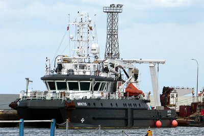 18120mintis300718.jpg