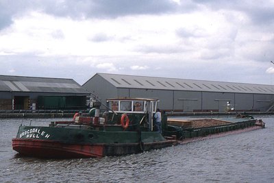 brocodale-h280798.jpg