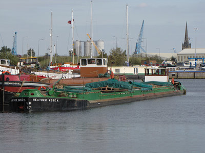 HEATHERROSEH141011.jpg