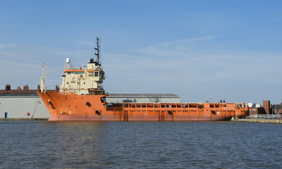 TOISACORAL010918.jpg
