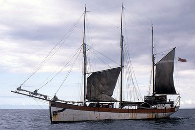 regina-caelis220898x2.jpg