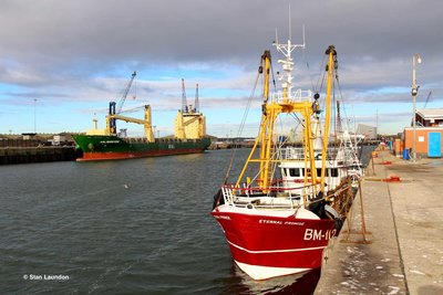 ETERNAL PROMISE (BM 112).jpg