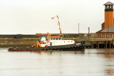 Bever.jpg