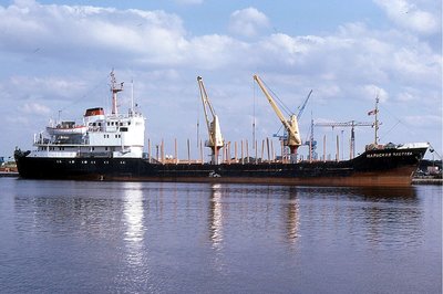 NARVSKAYA ZASTAVA 270785a.jpg