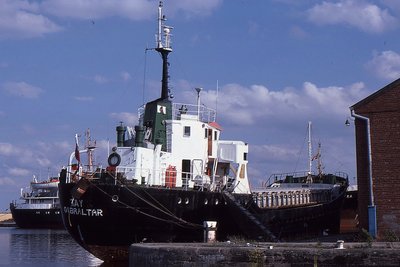 TAY 270785a.jpg