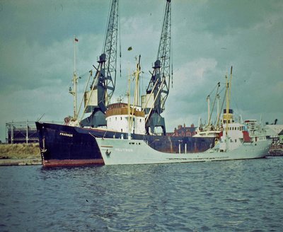 584.JPG
