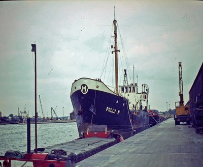 593.JPG