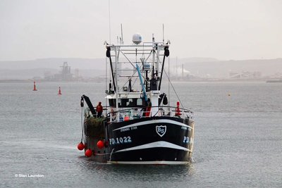 EVENING STAR (PD1022).jpg