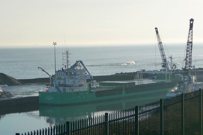 Arklow Cadet.jpg