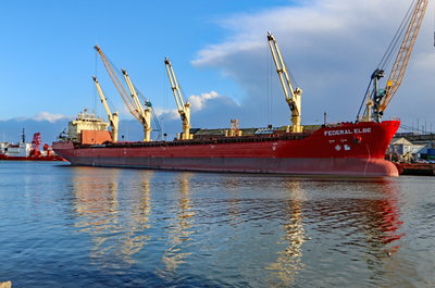 Federal Elbe, 17 January 2018 (2)_1.JPG