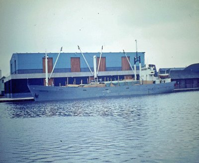 779.JPG