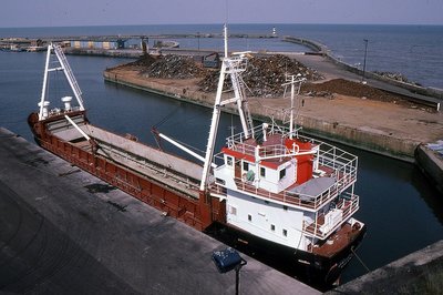 DANICA RED 240488a.jpg