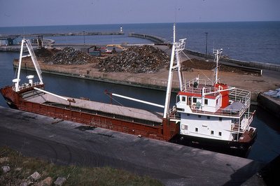 DANICA RED 240488b.jpg