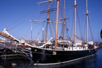 MARCO POLO 130495a.jpg