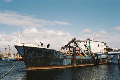 NORTHUMBRIA ROSE BG.jpg