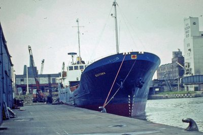 965.JPG
