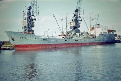975.JPG