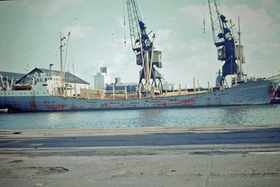 978.JPG