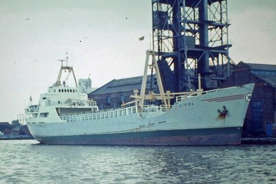 981.JPG