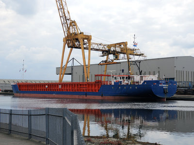 HSWISDOM190519Goole.jpg