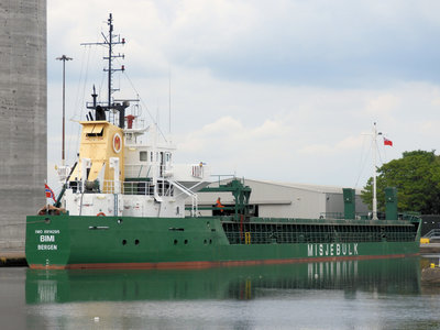 BIMI190519Goole.jpg