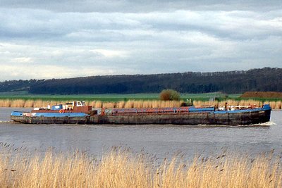 cordale050405x1.jpg