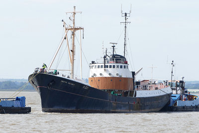 Arctic Corsair move 14.jpg