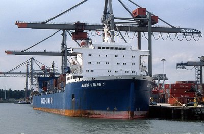 BACO-LINER 1 260698a.jpg