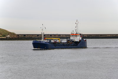 Rix Merlin, 25 October 2019 (2)_1_1.JPG